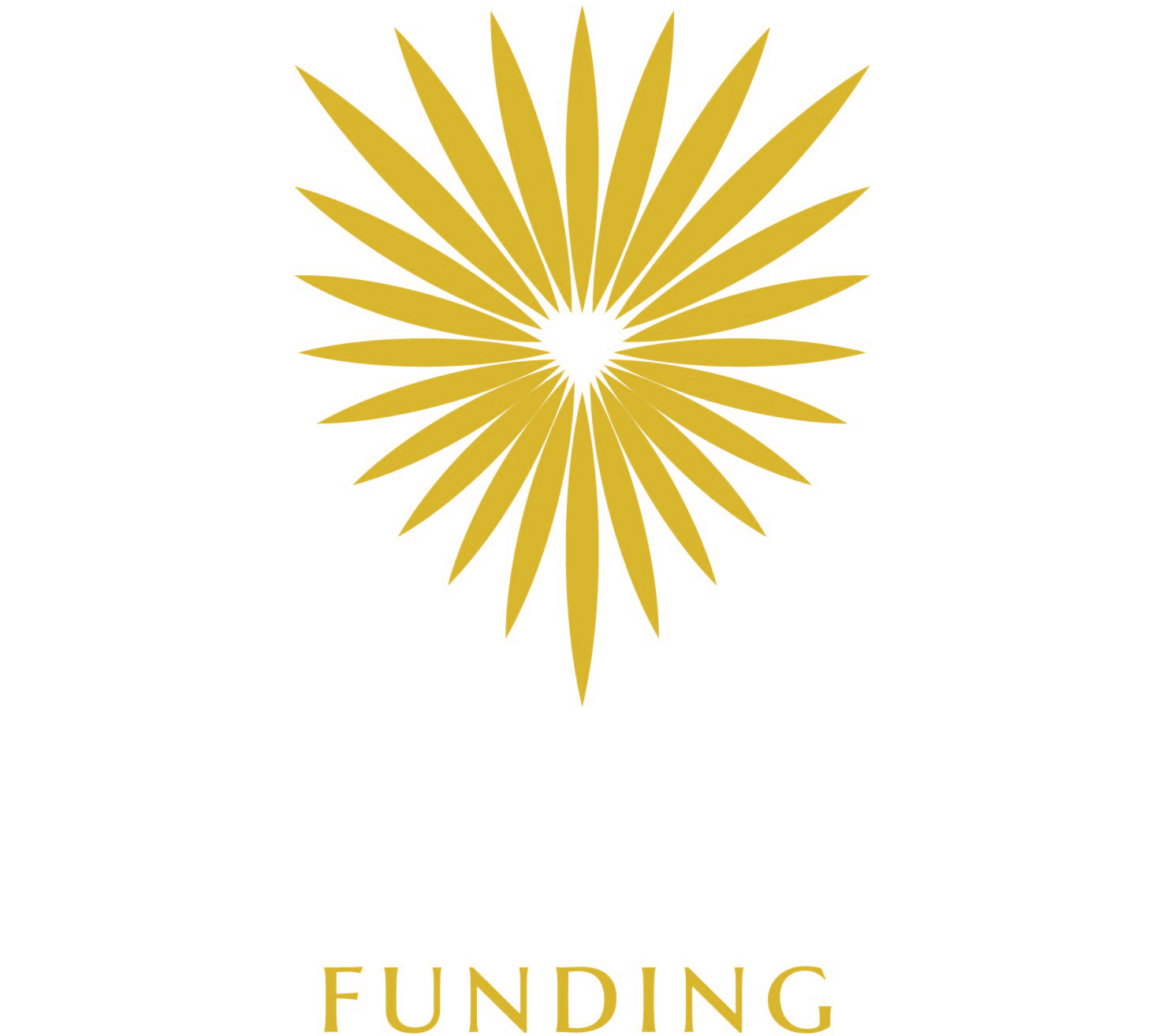 Diamondback Funding